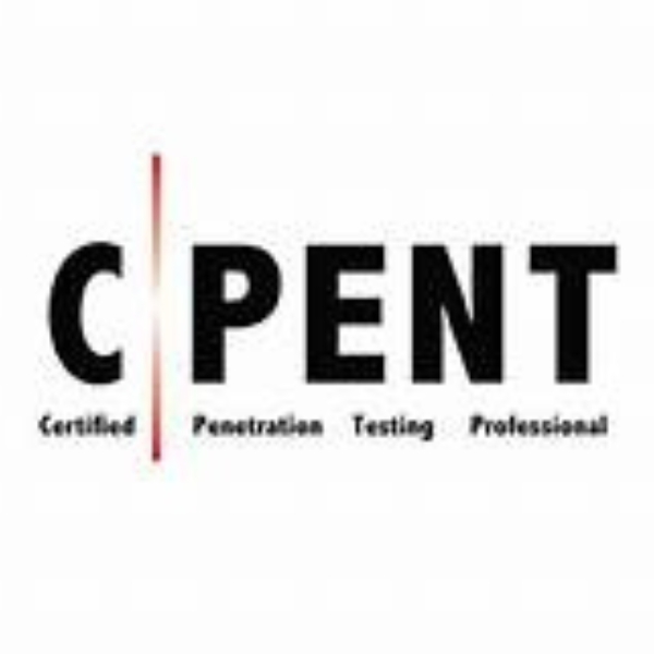 C|PENT Certified Penetration Testing Professional Latest Exam Dumps