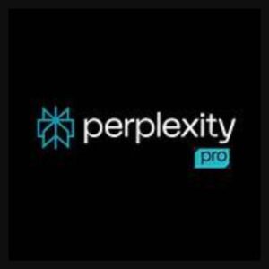 Perplexity Pro